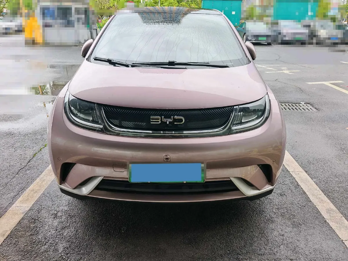 2024 BYD Dolphin BEV 44.928KWH,autocango,china used car exporter,china ev exporter,chinese used car exporter,chinese used ev exporter