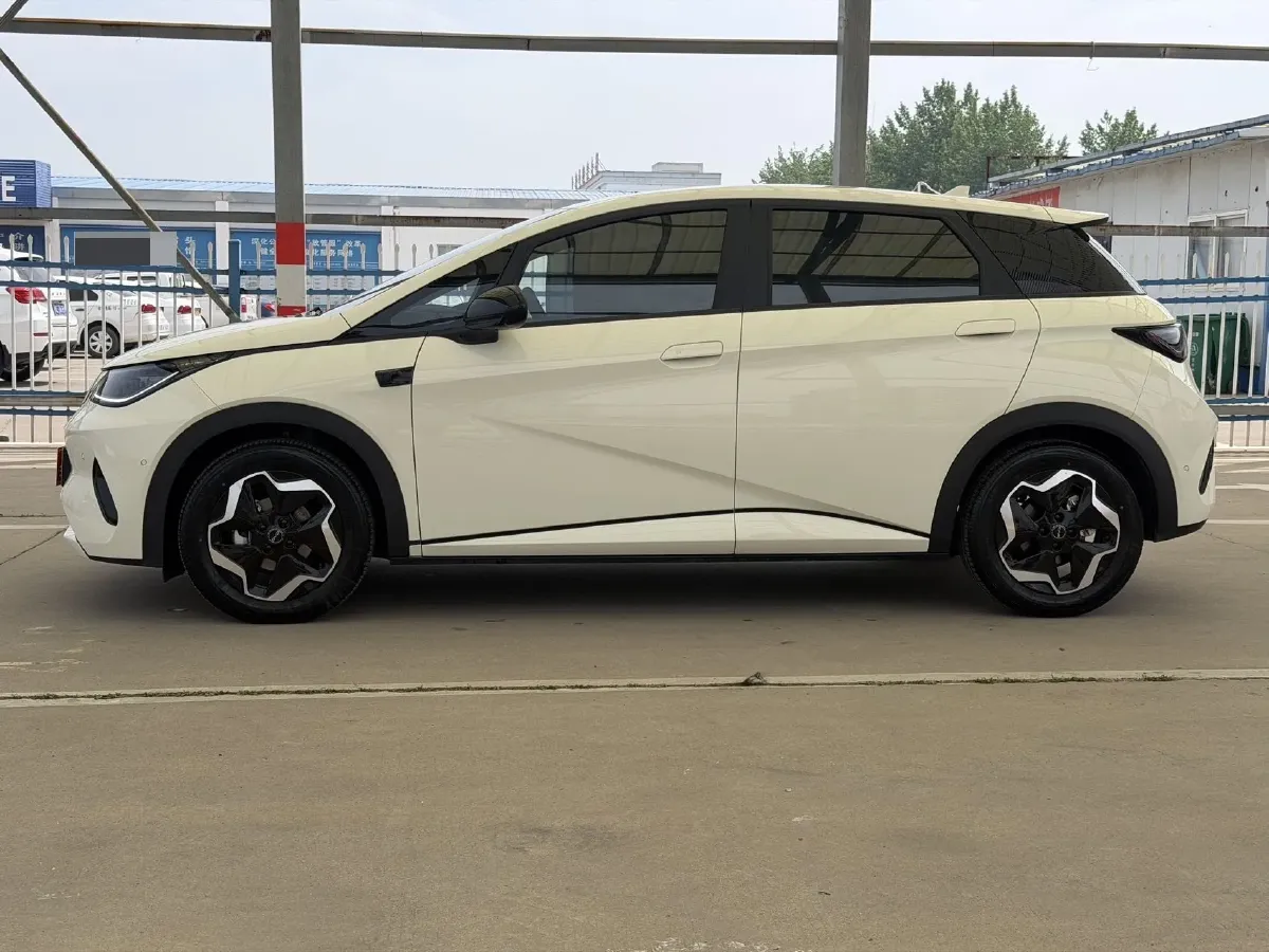 2025 BYD Dolphin BEV 45.12KWH,autocango,china used car exporter,china ev exporter,chinese used car exporter,chinese used ev exporter