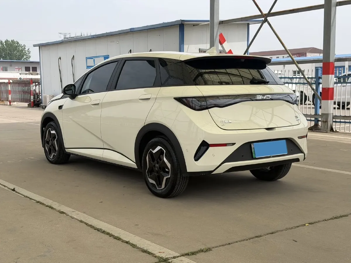 2025 BYD Dolphin BEV 45.12KWH,autocango,china used car exporter,china ev exporter,chinese used car exporter,chinese used ev exporter