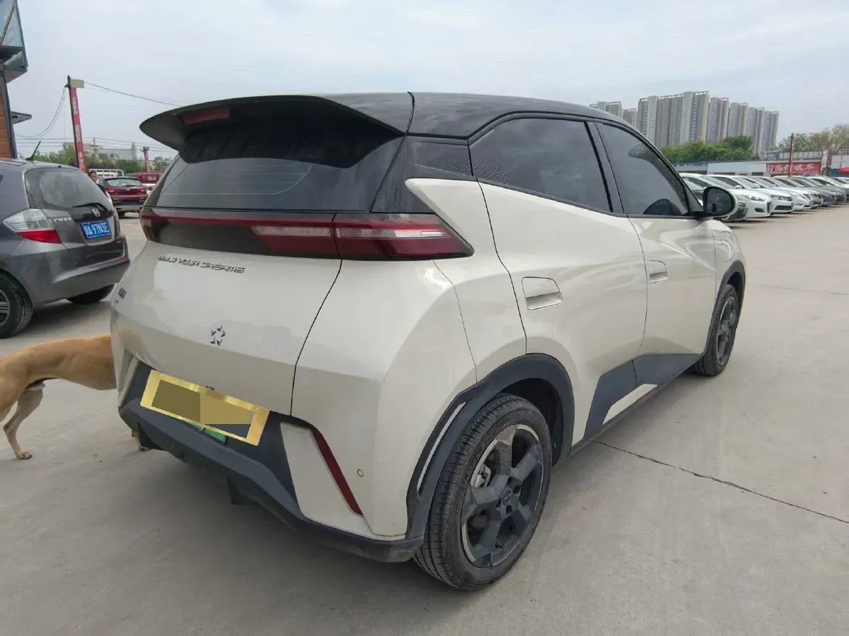 2023 BYD Seagull BEV 30.08KWH,autocango,china used car exporter,china ev exporter,chinese used car exporter,chinese used ev exporter