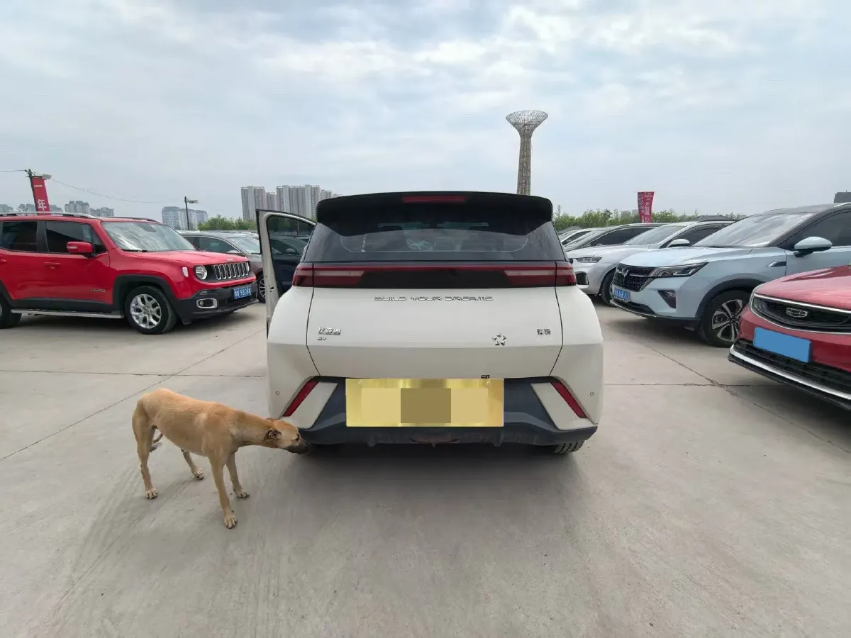 2023 BYD Seagull BEV 30.08KWH,autocango,china used car exporter,china ev exporter,chinese used car exporter,chinese used ev exporter