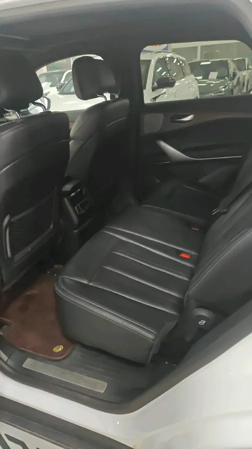 2020 Denza X 2.0T 192HP L4 6DCT PHEV 24KWH,autocango,china used car exporter,china ev exporter,chinese used car exporter,chinese used ev exporter