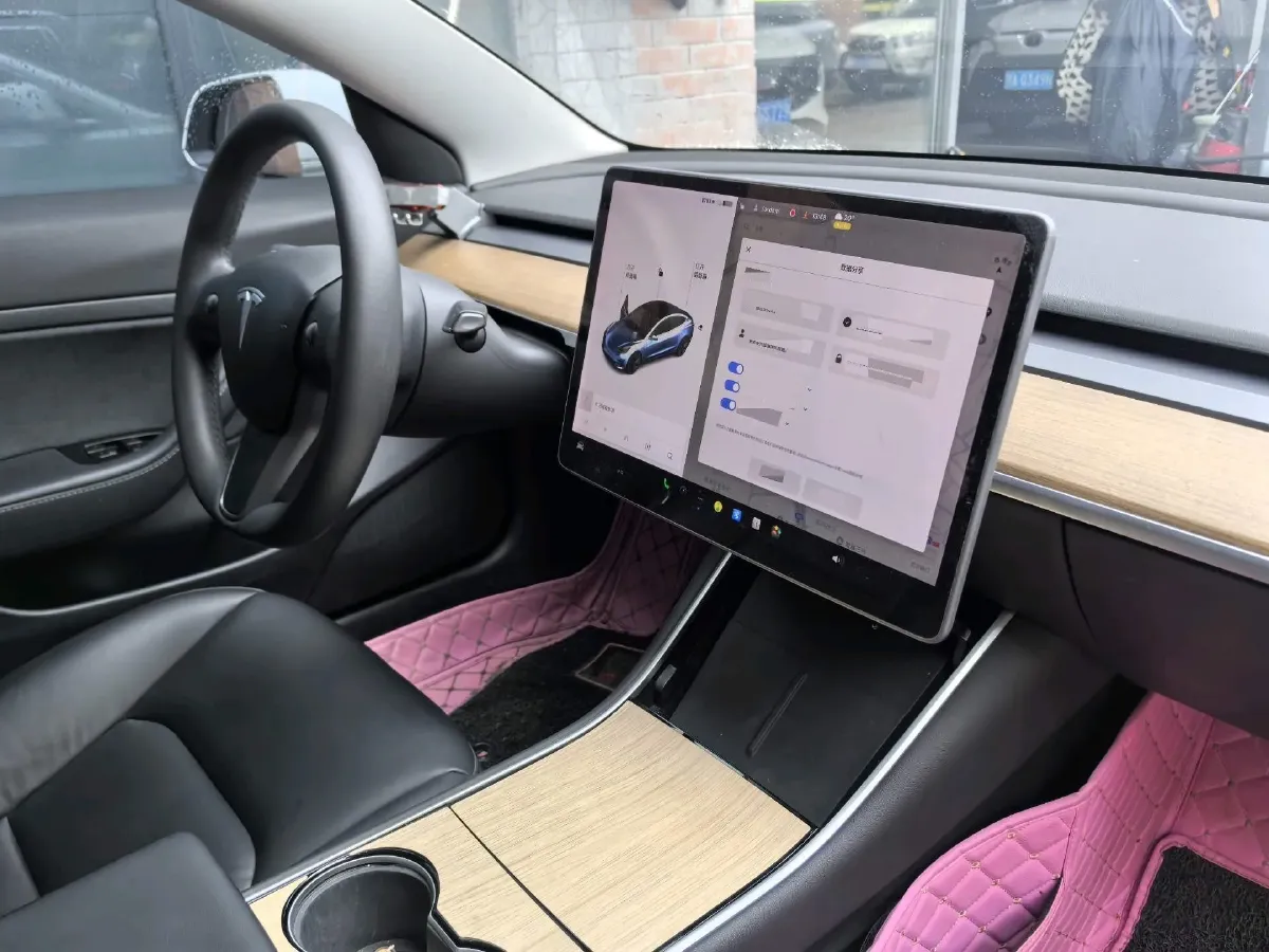 2020 Tesla Model 3 BEV 55KWH,autocango,china used car exporter,china ev exporter,chinese used car exporter,chinese used ev exporter