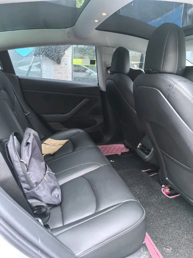 2020 Tesla Model 3 BEV 55KWH,autocango,china used car exporter,china ev exporter,chinese used car exporter,chinese used ev exporter