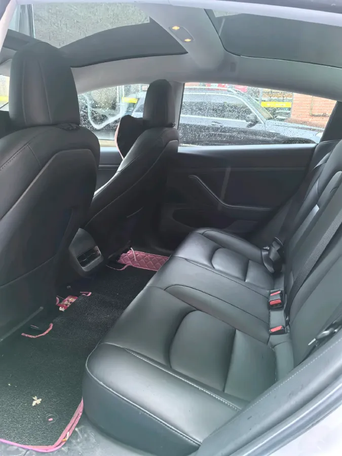 2020 Tesla Model 3 BEV 55KWH,autocango,china used car exporter,china ev exporter,chinese used car exporter,chinese used ev exporter