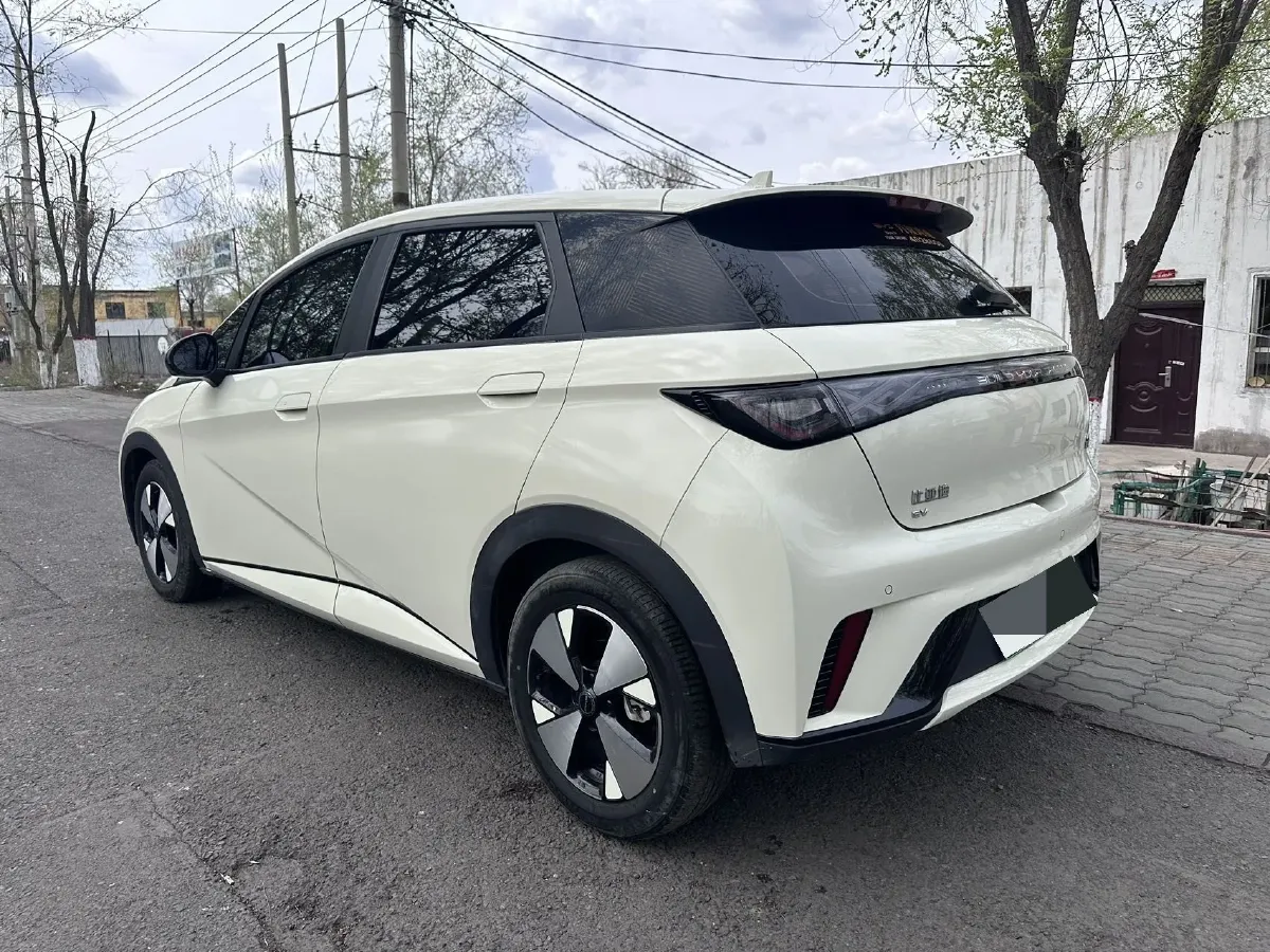 2023 BYD Dolphin BEV 44.928KWH,autocango,china used car exporter,china ev exporter,chinese used car exporter,chinese used ev exporter
