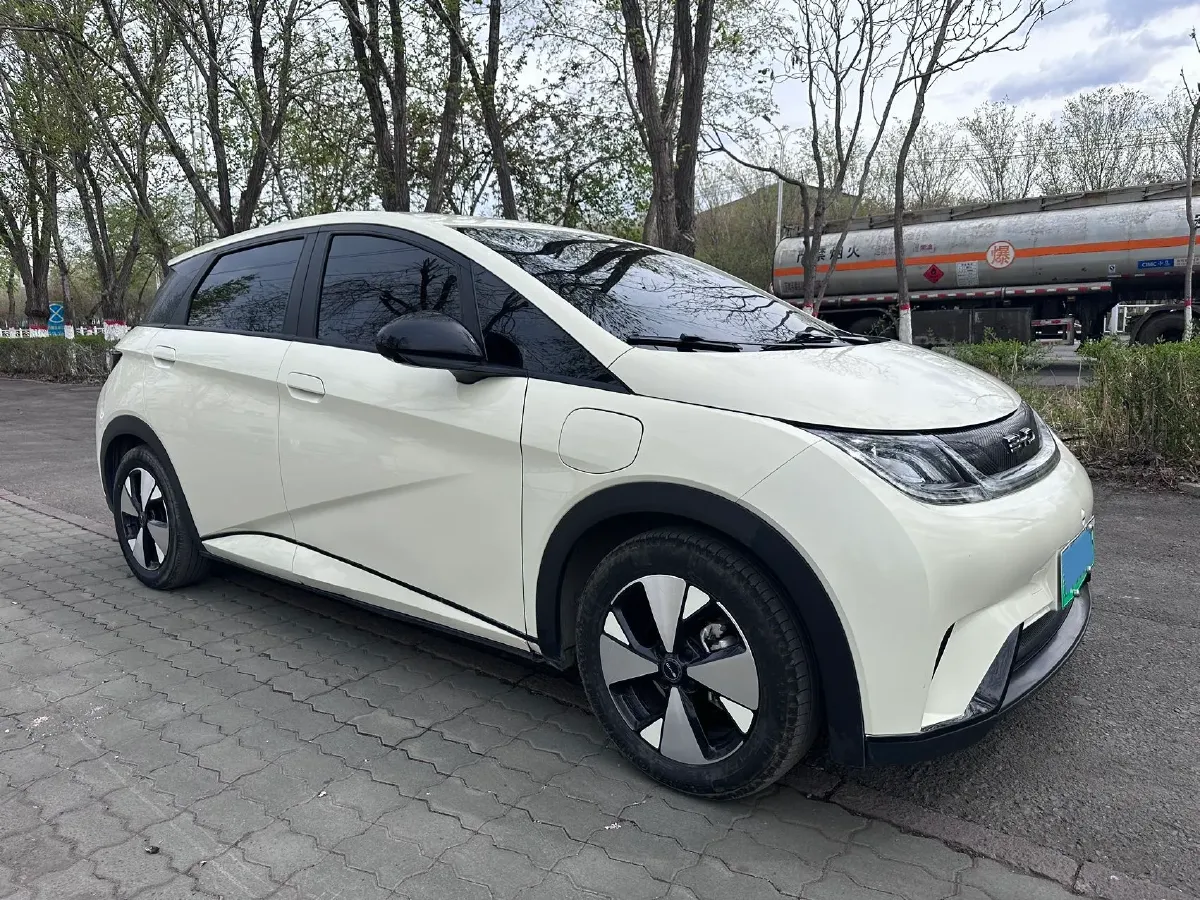 2023 BYD Dolphin BEV 44.928KWH,autocango,china used car exporter,china ev exporter,chinese used car exporter,chinese used ev exporter
