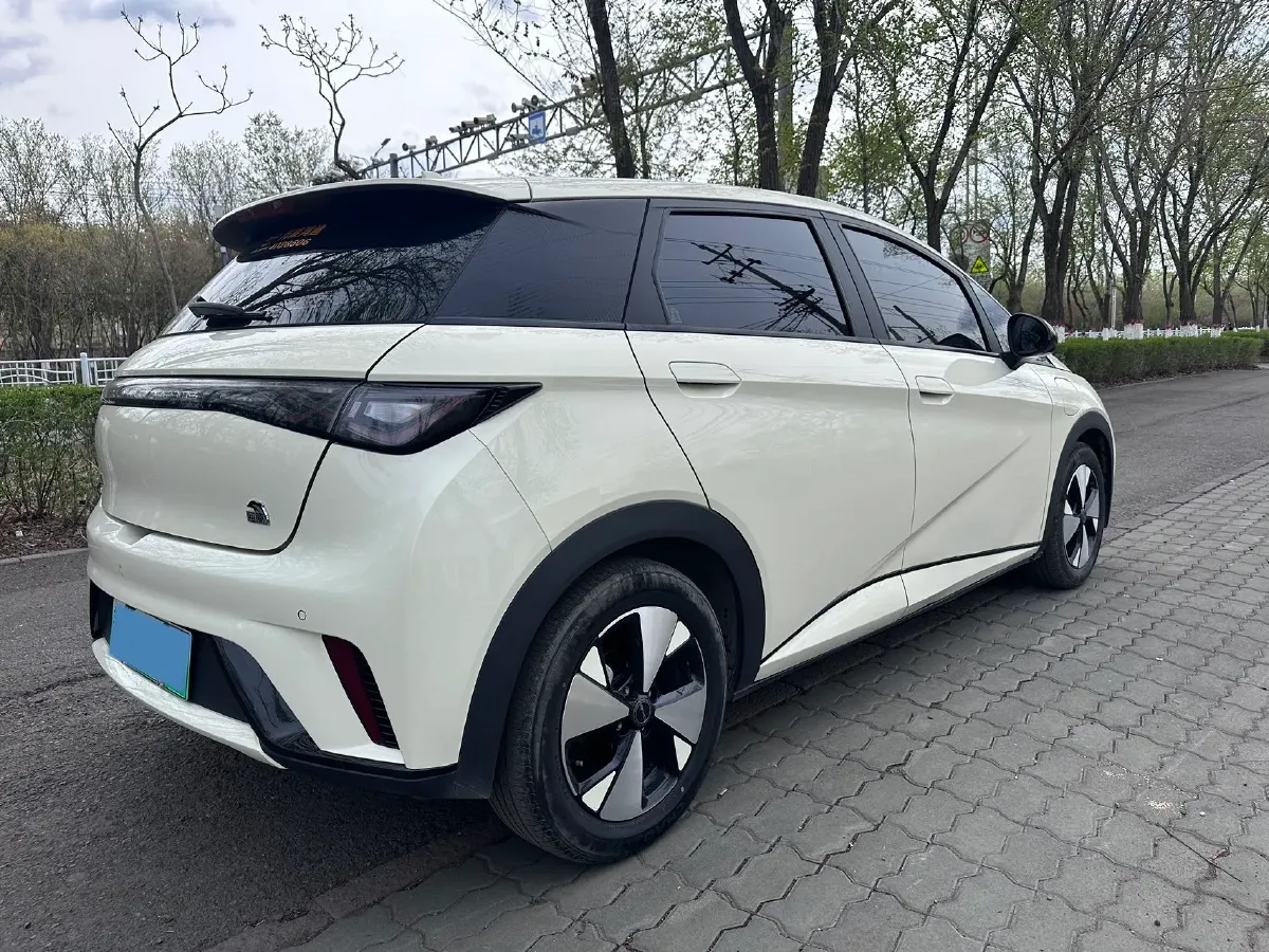 2023 BYD Dolphin BEV 44.928KWH,autocango,china used car exporter,china ev exporter,chinese used car exporter,chinese used ev exporter