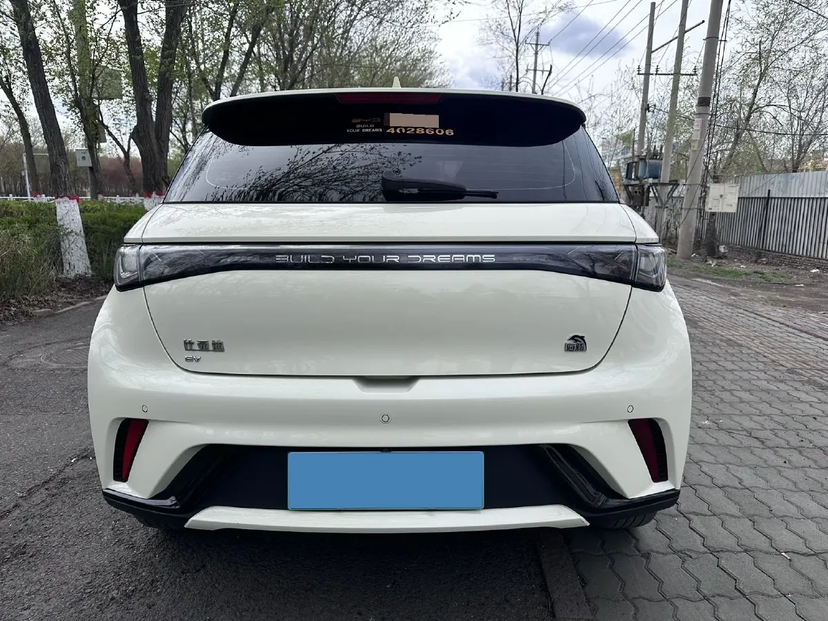 2023 BYD Dolphin BEV 44.928KWH,autocango,china used car exporter,china ev exporter,chinese used car exporter,chinese used ev exporter