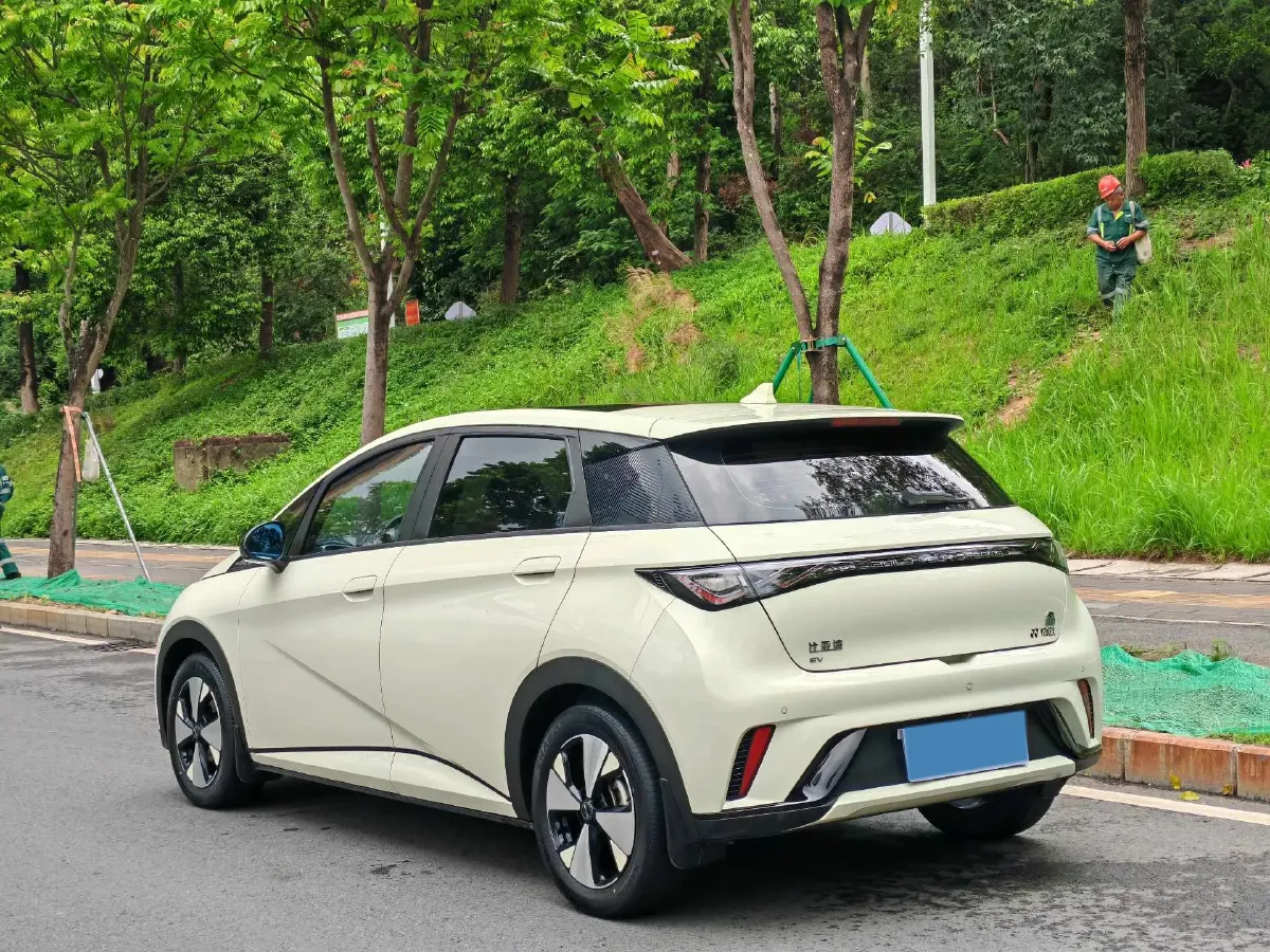 2023 BYD Dolphin BEV 44.928KWH,autocango,china used car exporter,china ev exporter,chinese used car exporter,chinese used ev exporter