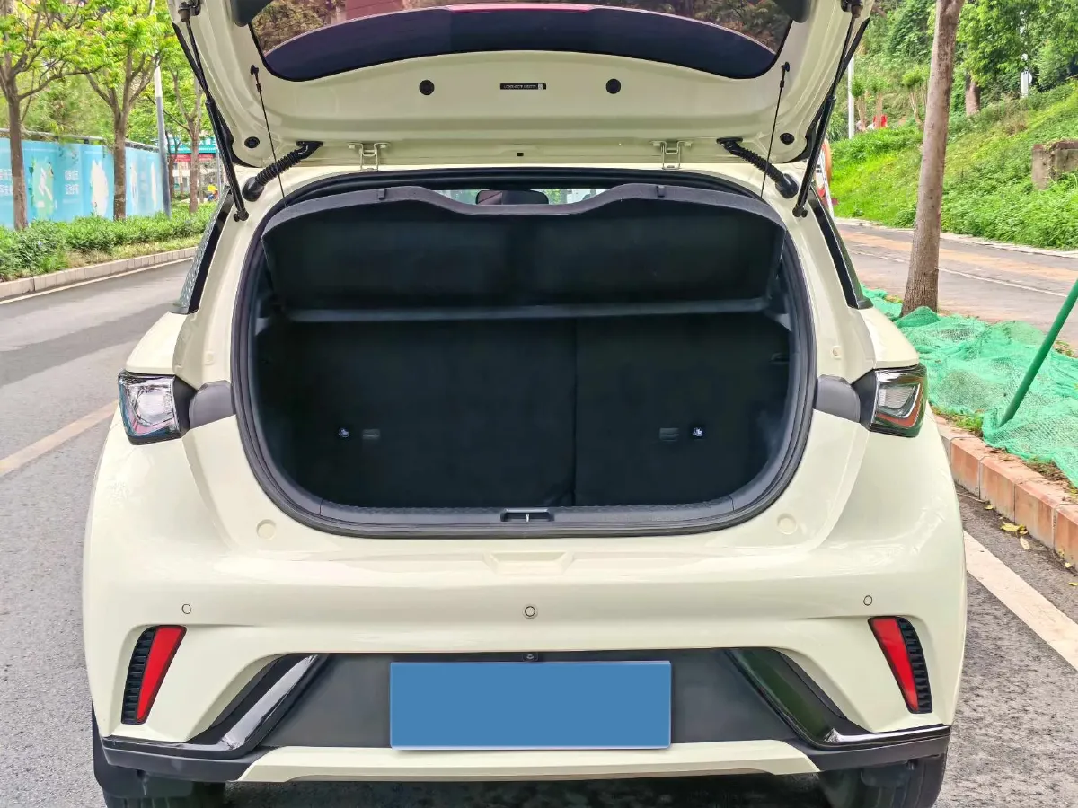 2023 BYD Dolphin BEV 44.928KWH,autocango,china used car exporter,china ev exporter,chinese used car exporter,chinese used ev exporter