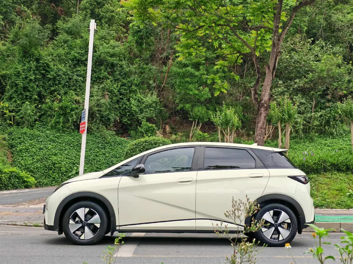 2023 BYD Dolphin BEV 44.928KWH,autocango,china used car exporter,china ev exporter,chinese used car exporter,chinese used ev exporter