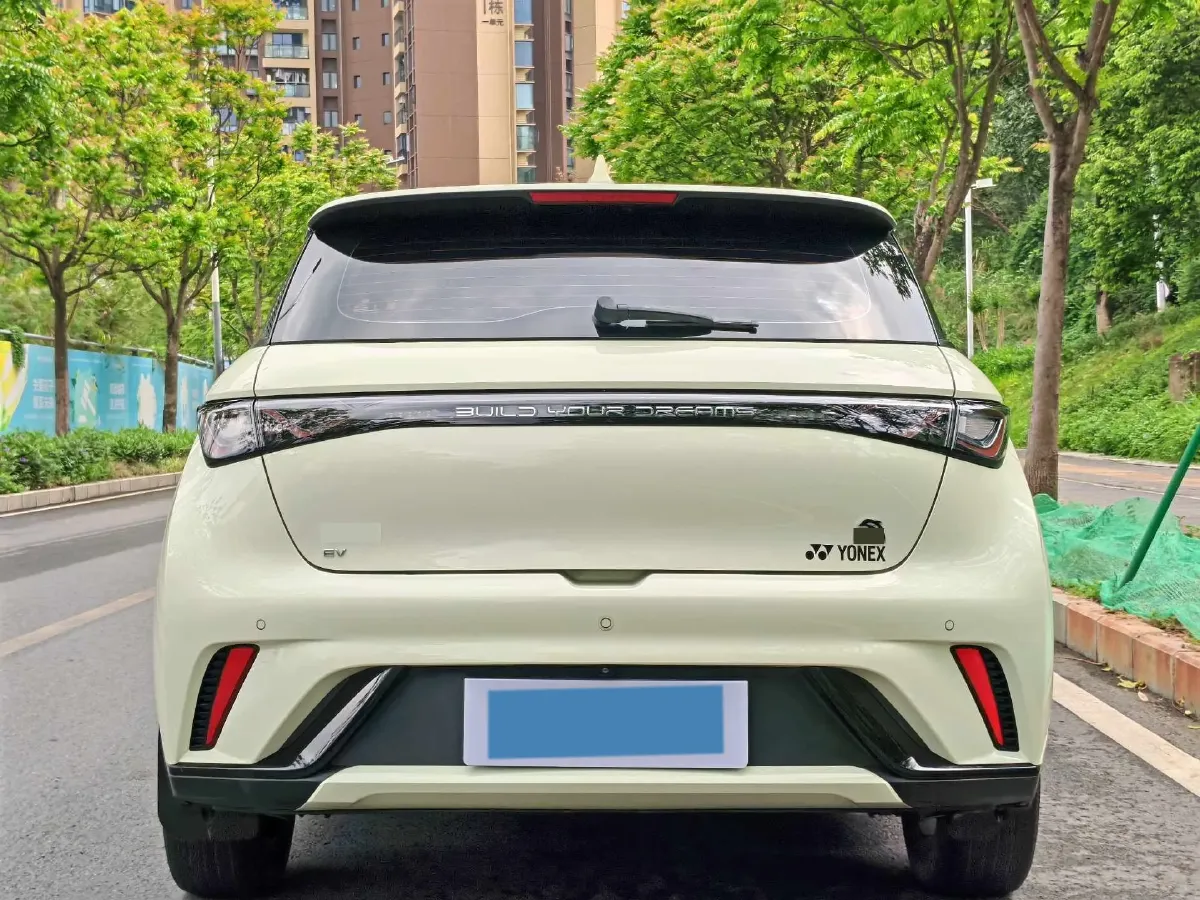 2023 BYD Dolphin BEV 44.928KWH,autocango,china used car exporter,china ev exporter,chinese used car exporter,chinese used ev exporter