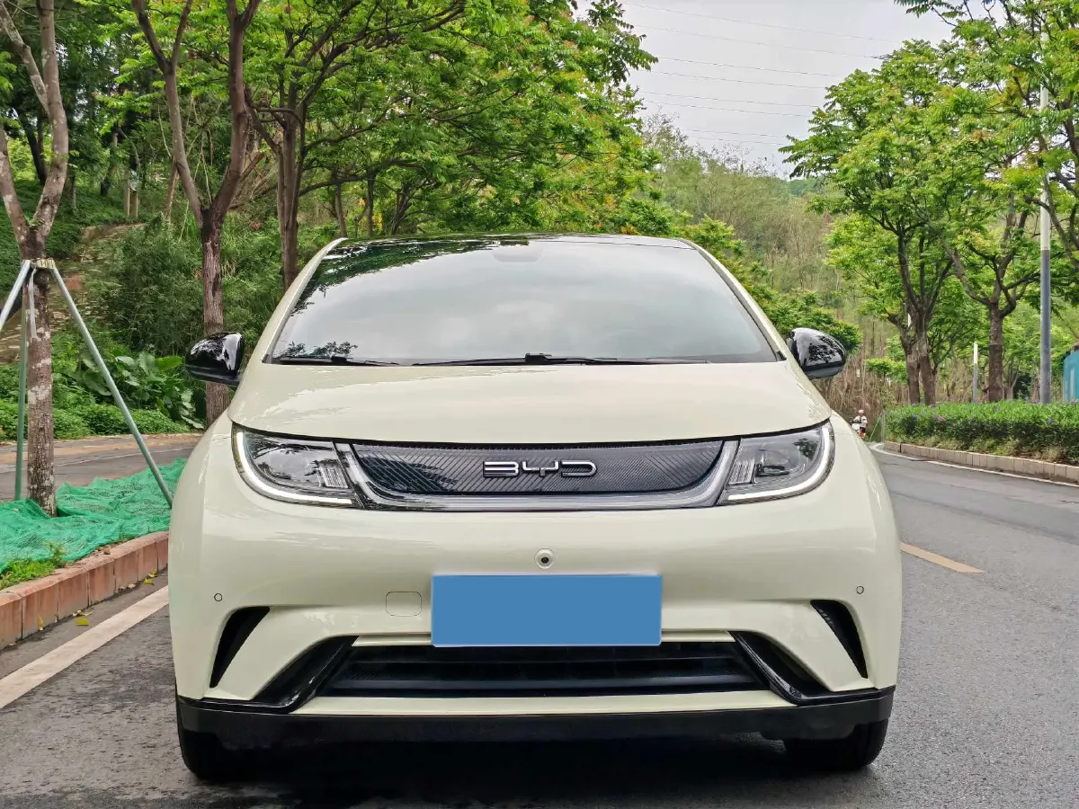 2023 BYD Dolphin BEV 44.928KWH,autocango,china used car exporter,china ev exporter,chinese used car exporter,chinese used ev exporter