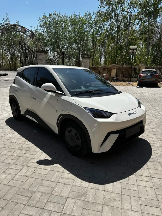 2025 BYD Seagull BEV 30.08KWH,autocango,china used car exporter,china ev exporter,chinese used car exporter,chinese used ev exporter