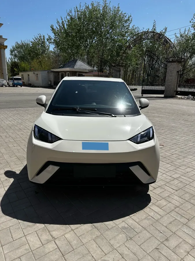 2025 BYD Seagull BEV 30.08KWH,autocango,china used car exporter,china ev exporter,chinese used car exporter,chinese used ev exporter