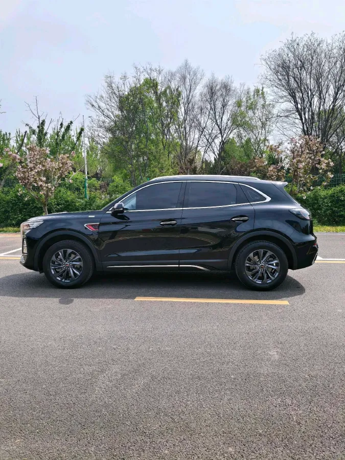 2025 HongQi HS5 2.0T 252HP L4 8AT,autocango,china used car exporter,china ev exporter,chinese used car exporter,chinese used ev exporter