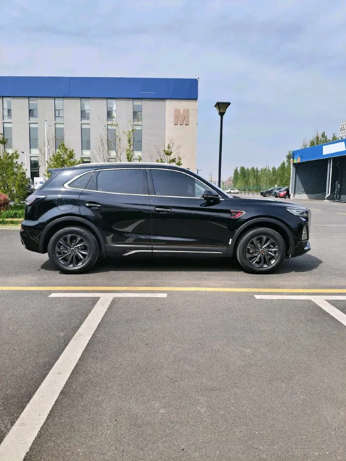 2025 HongQi HS5 2.0T 252HP L4 8AT,autocango,china used car exporter,china ev exporter,chinese used car exporter,chinese used ev exporter