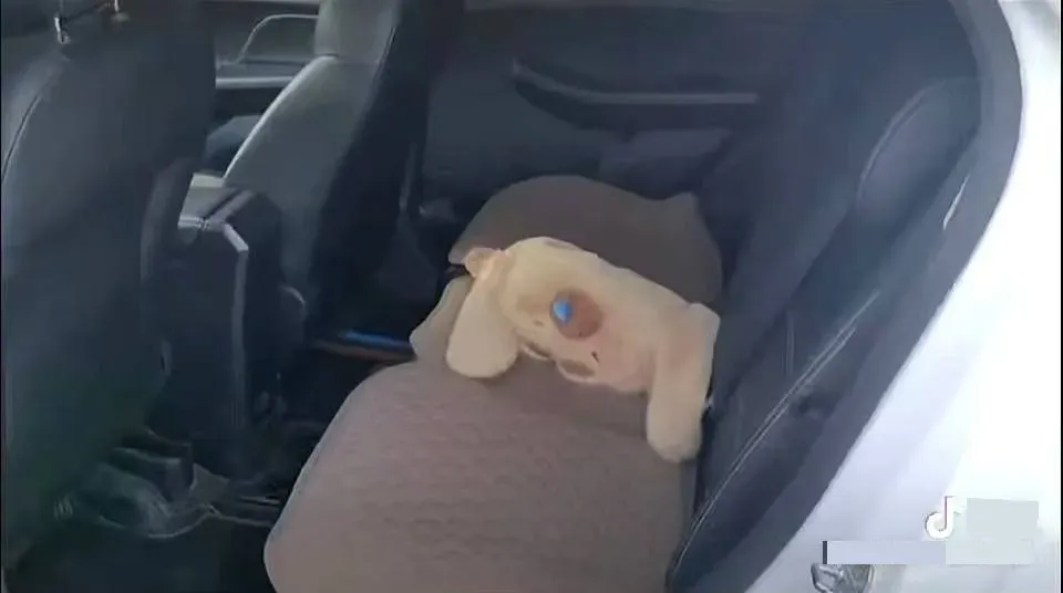 2019 BYD Yuan BEV 53.22KWH,autocango,china used car exporter,china ev exporter,chinese used car exporter,chinese used ev exporter