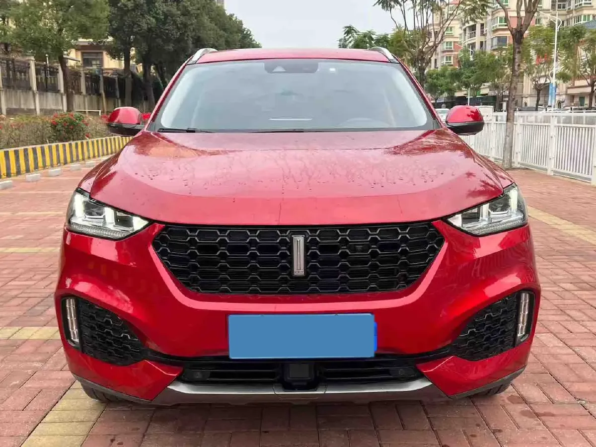 2019 WEY VV6 2.0T 224HP L4 7DCT,autocango,china used car exporter,china ev exporter,chinese used car exporter,chinese used ev exporter