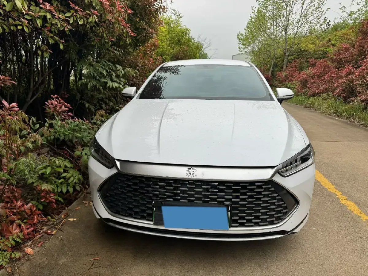 2024 BYD Qin Plus 1.5L 110HP L4 E-CVT PHEV 8.32KWH,autocango,china used car exporter,china ev exporter,chinese used car exporter,chinese used ev exporter
