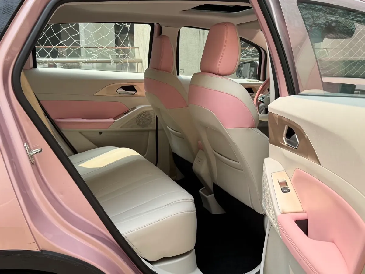 2024 Geometry E BEV 39.3KWH,autocango,china used car exporter,china ev exporter,chinese used car exporter,chinese used ev exporter