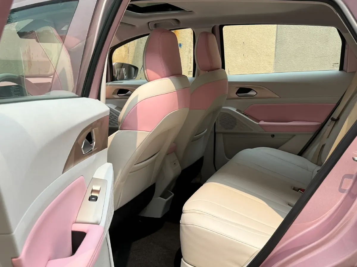 2024 Geometry E BEV 39.3KWH,autocango,china used car exporter,china ev exporter,chinese used car exporter,chinese used ev exporter