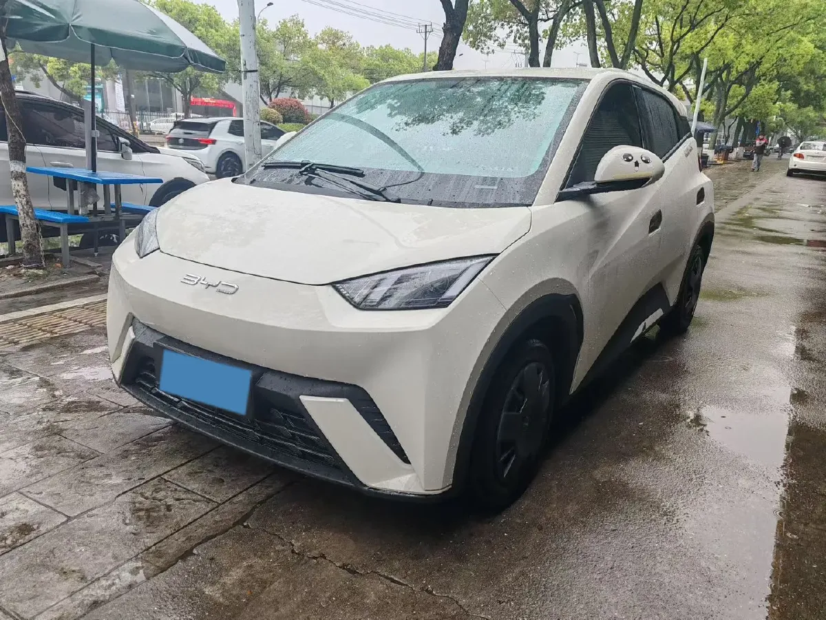 2023 BYD Seagull BEV 30.08KWH,autocango,china used car exporter,china ev exporter,chinese used car exporter,chinese used ev exporter