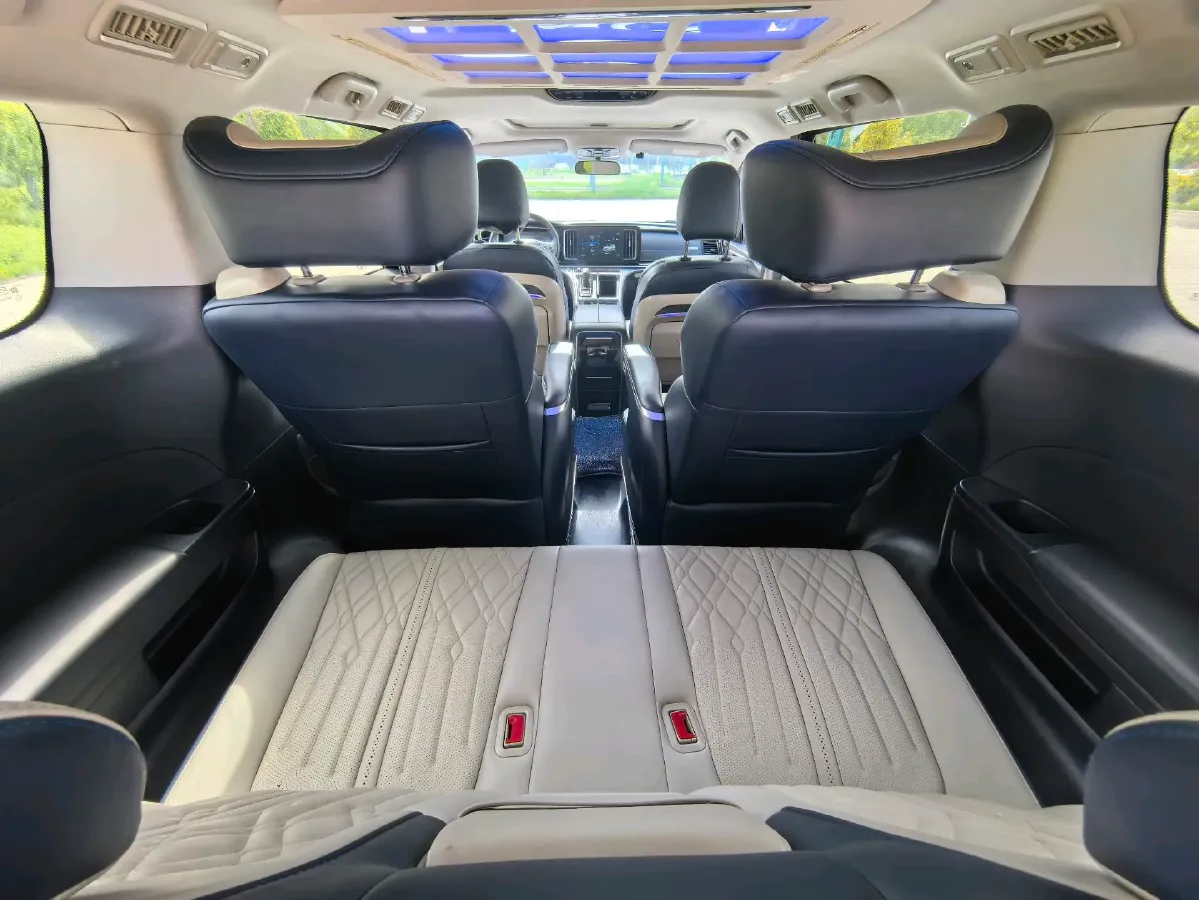 2021 GAC Trumpchi M8 2.0T 252HP L4 8AT,autocango,china used car exporter,china ev exporter,chinese used car exporter,chinese used ev exporter