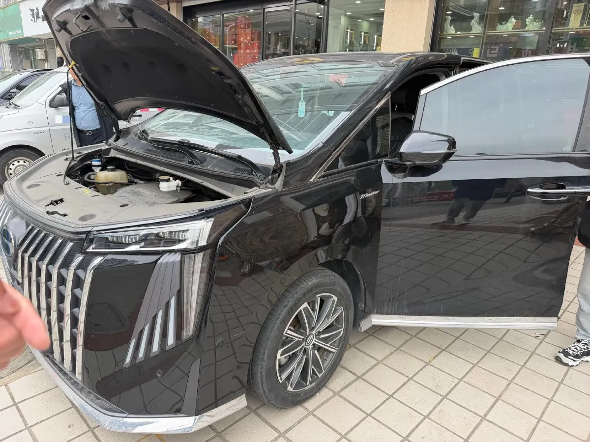 2024 GAC Trumpchi M8 2.0T 252HP L4 8AT,autocango,china used car exporter,china ev exporter,chinese used car exporter,chinese used ev exporter