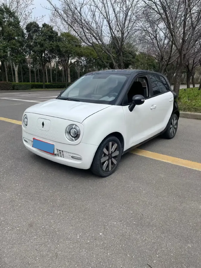 2021 Ora BlackCat BEV 28.5KWH,autocango,china used car exporter,china ev exporter,chinese used car exporter,chinese used ev exporter
