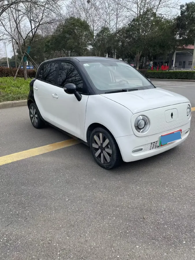 2021 Ora BlackCat BEV 28.5KWH,autocango,china used car exporter,china ev exporter,chinese used car exporter,chinese used ev exporter