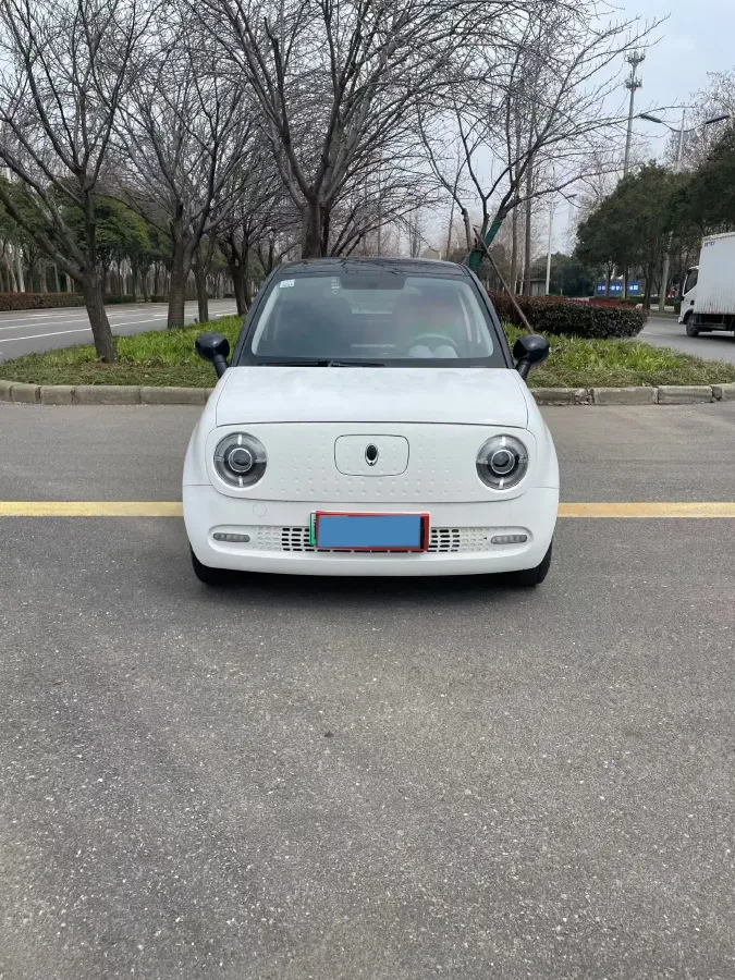 2021 Ora BlackCat BEV 28.5KWH,autocango,china used car exporter,china ev exporter,chinese used car exporter,chinese used ev exporter