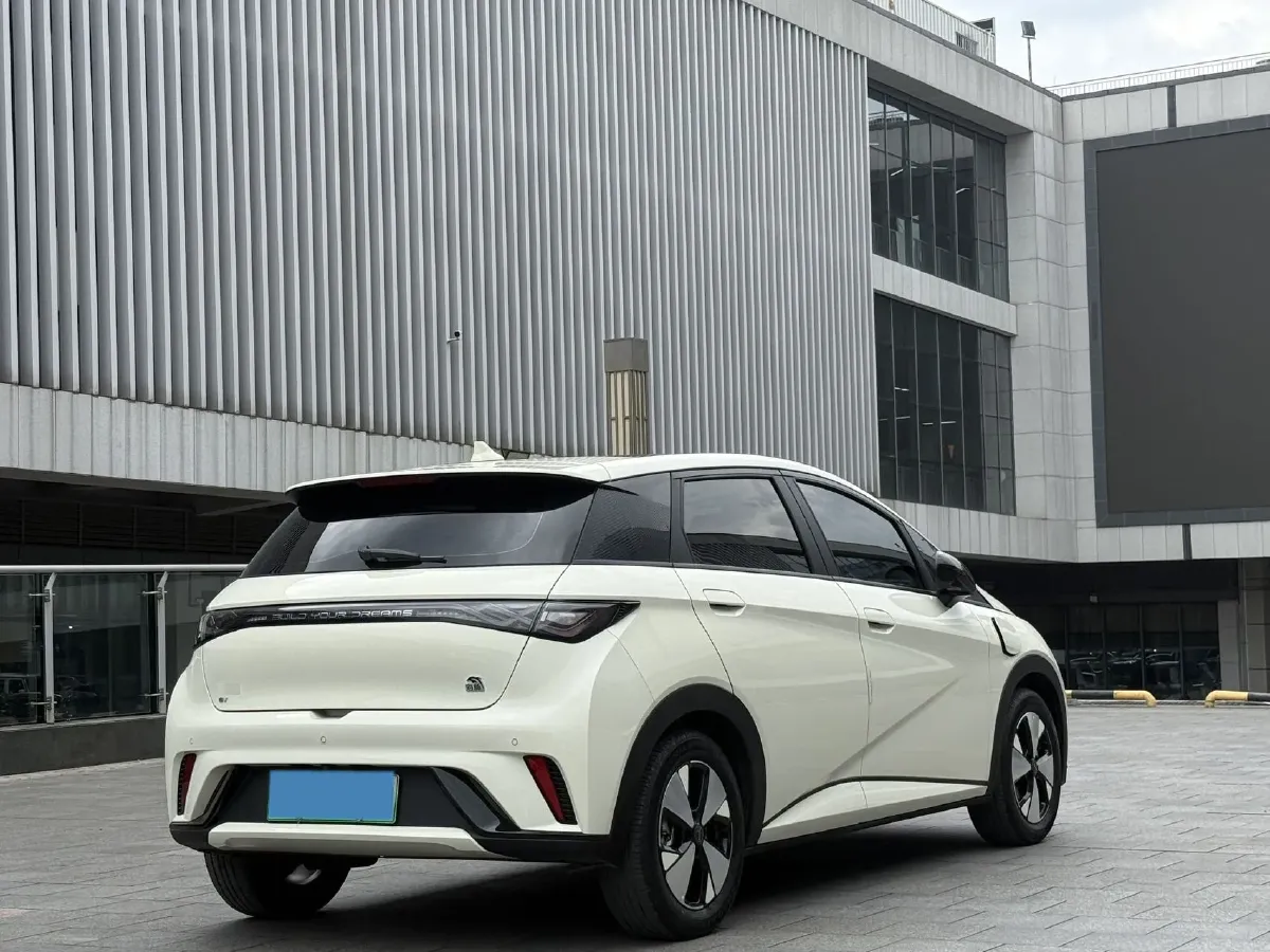 2023 BYD Dolphin BEV 44.928KWH,autocango,china used car exporter,china ev exporter,chinese used car exporter,chinese used ev exporter