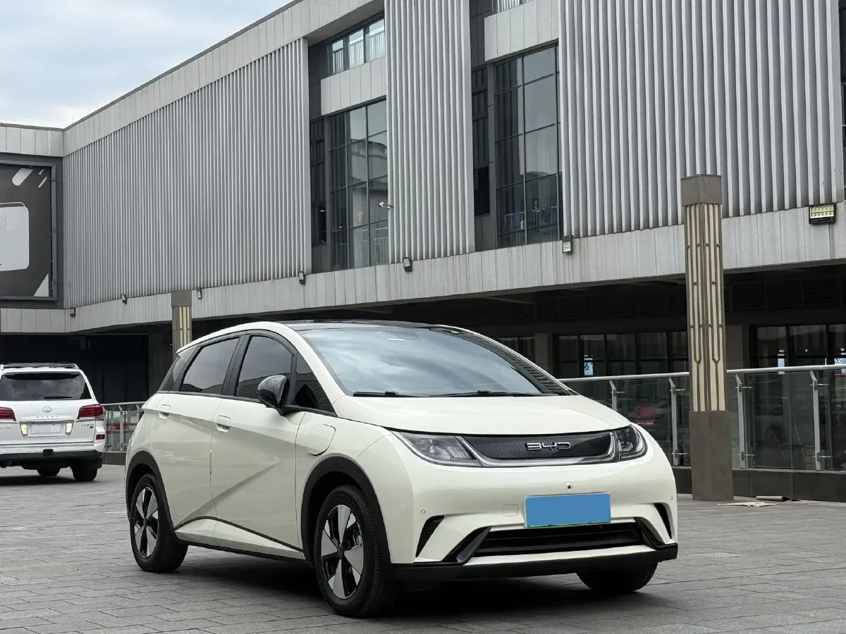 2023 BYD Dolphin BEV 44.928KWH,autocango,china used car exporter,china ev exporter,chinese used car exporter,chinese used ev exporter