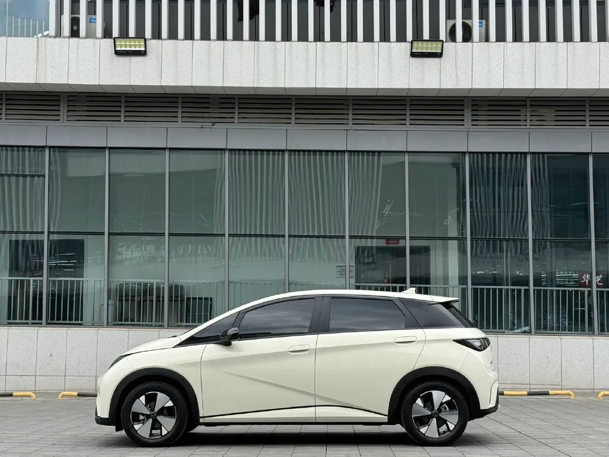 2023 BYD Dolphin BEV 44.928KWH,autocango,china used car exporter,china ev exporter,chinese used car exporter,chinese used ev exporter