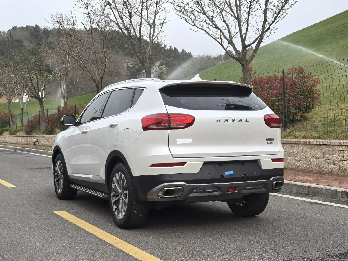 2020 Haval H6 2.0T 224HP L4 7DCT,autocango,china used car exporter,china ev exporter,chinese used car exporter,chinese used ev exporter