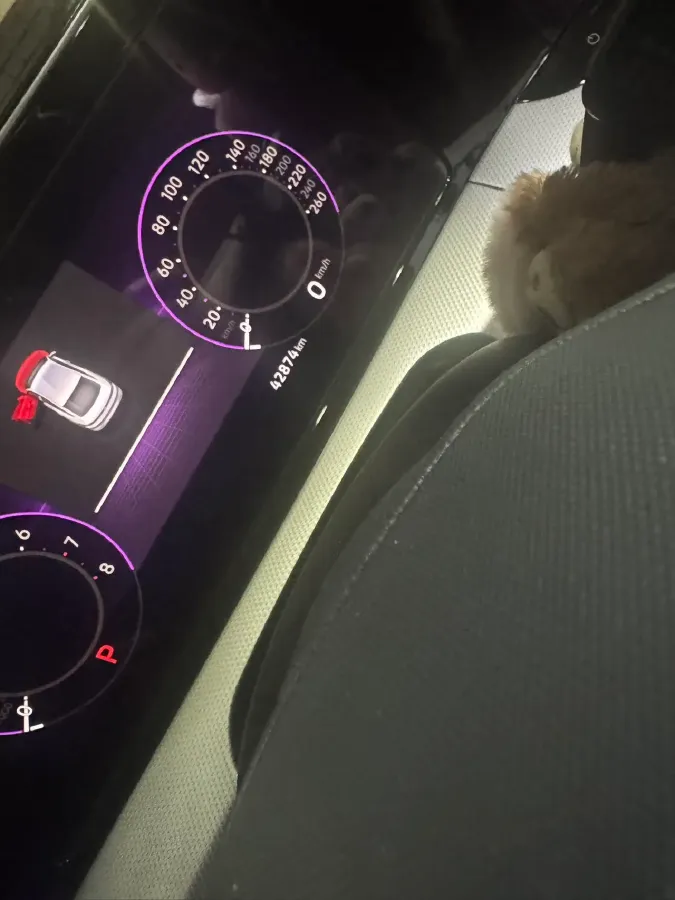 2022 Exceed TXL 2.0T 261HP L4 7DCT,autocango,china used car exporter,china ev exporter,chinese used car exporter,chinese used ev exporter