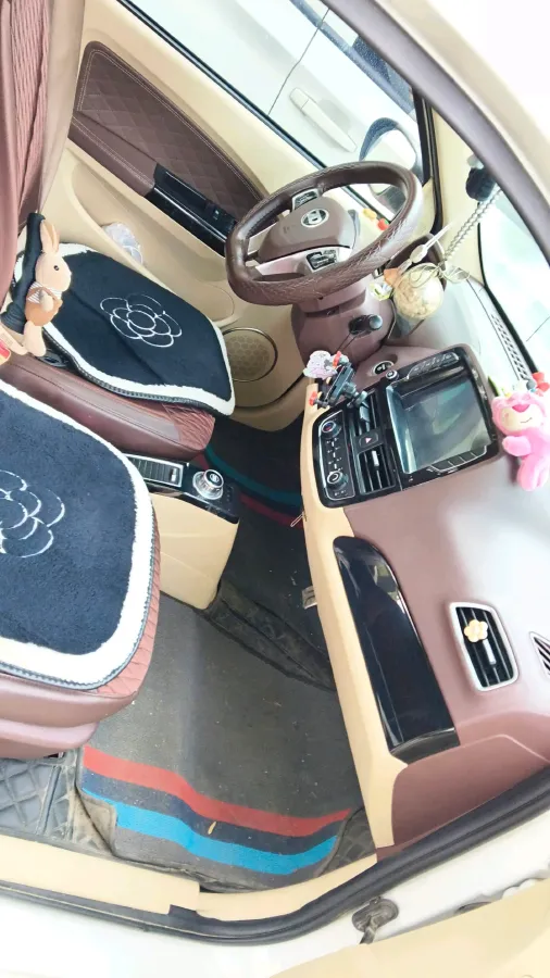 2017 ZD D2 BEV 18KWH,autocango,china used car exporter,china ev exporter,chinese used car exporter,chinese used ev exporter