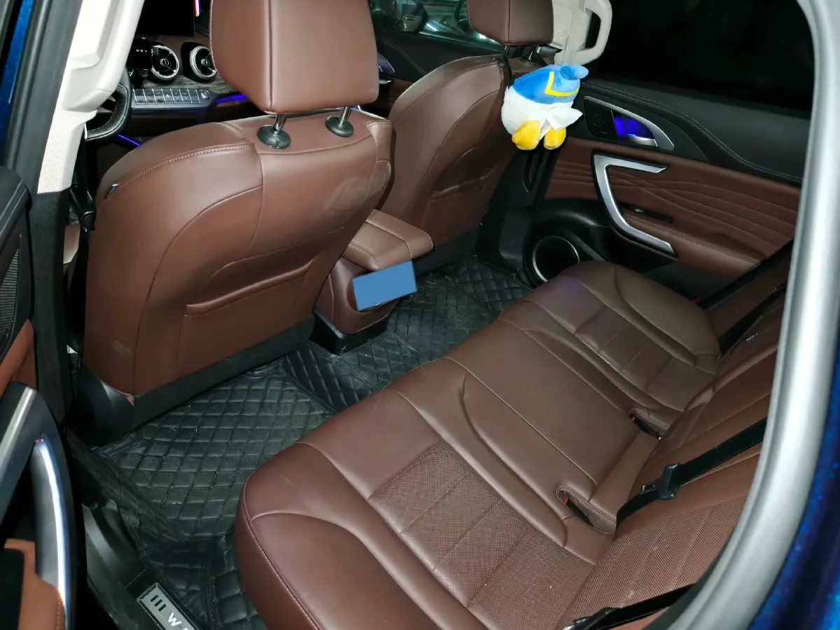 2020 WEY VV7 2.0T 227HP L4 7DCT,autocango,china used car exporter,china ev exporter,chinese used car exporter,chinese used ev exporter