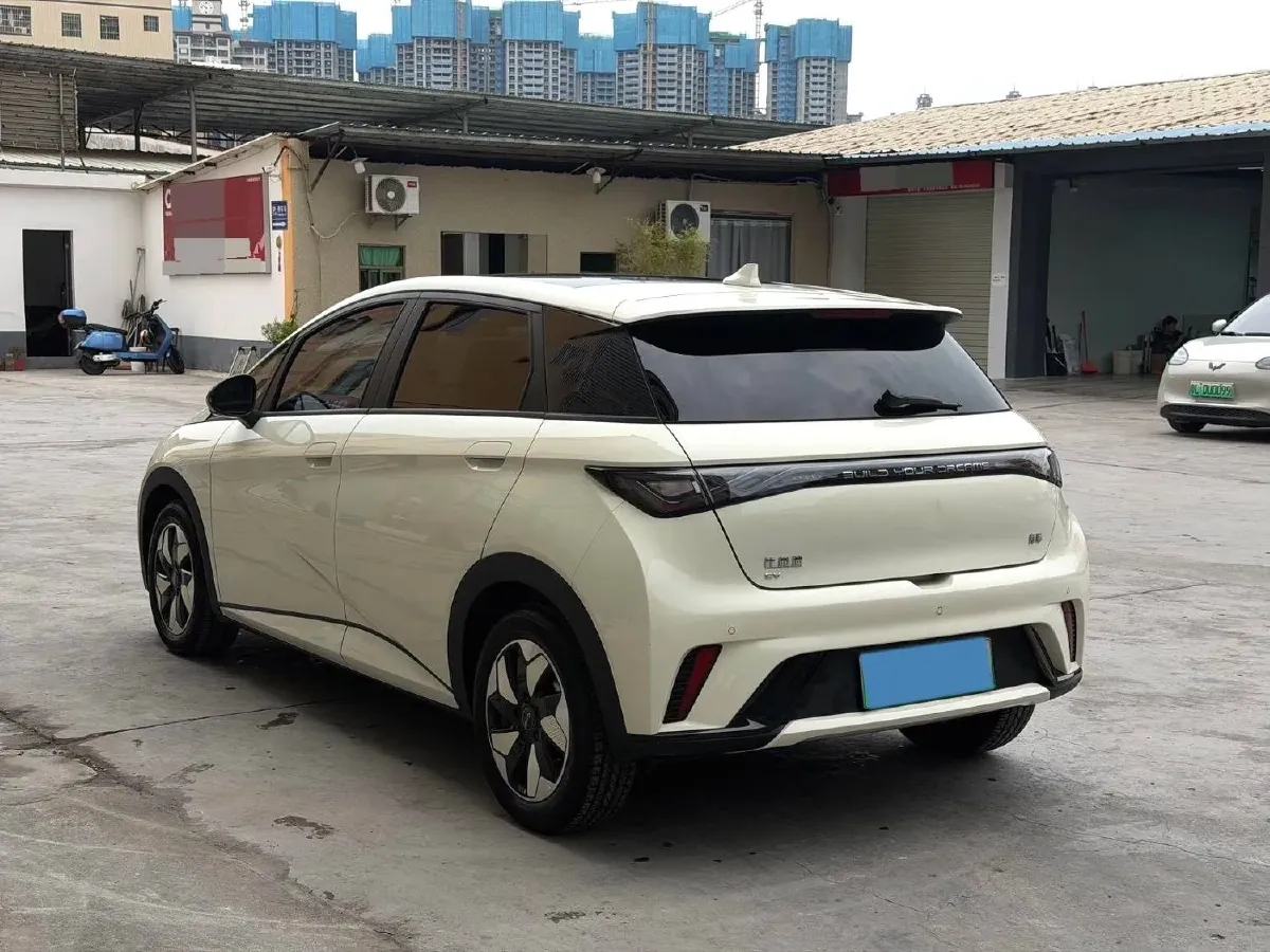2024 BYD Dolphin BEV 44.928KWH,autocango,china used car exporter,china ev exporter,chinese used car exporter,chinese used ev exporter