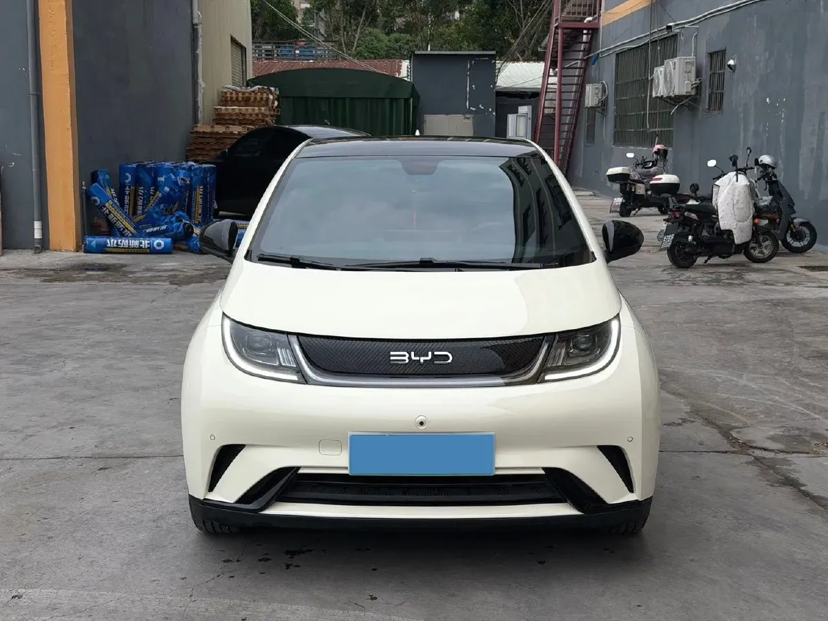 2024 BYD Dolphin BEV 44.928KWH,autocango,china used car exporter,china ev exporter,chinese used car exporter,chinese used ev exporter