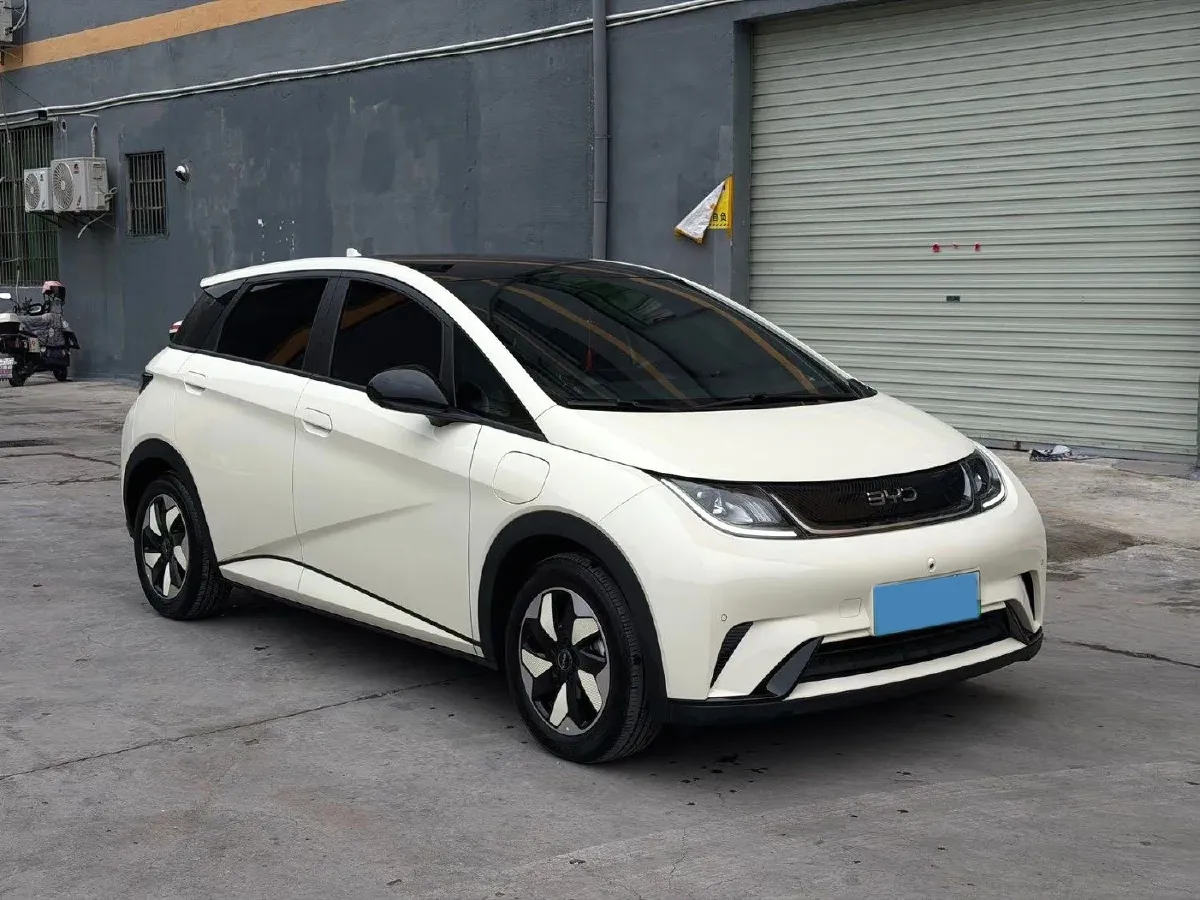 2024 BYD Dolphin BEV 44.928KWH,autocango,china used car exporter,china ev exporter,chinese used car exporter,chinese used ev exporter