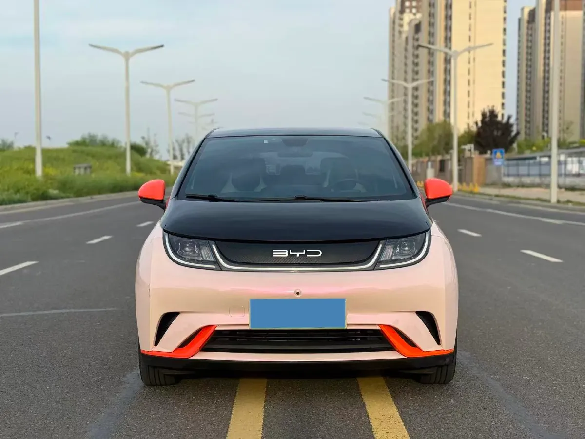 2021 BYD Yuan Pro BEV 50.1KWH,autocango,china used car exporter,china ev exporter,chinese used car exporter,chinese used ev exporter