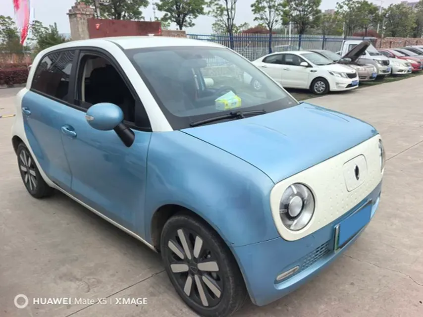2019 Ora BlackCat BEV 33KWH,autocango,china used car exporter,china ev exporter,chinese used car exporter,chinese used ev exporter