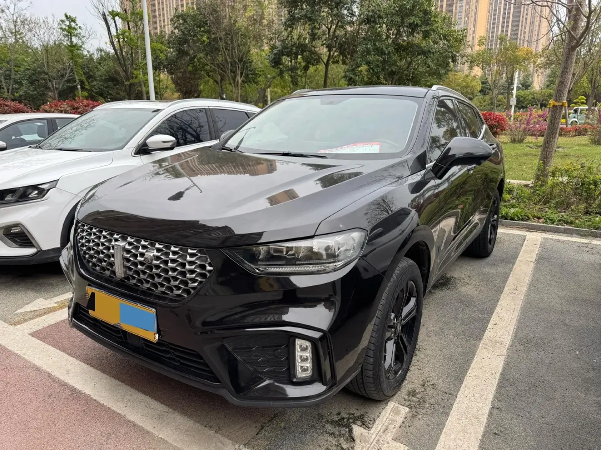 2020 WEY VV5 1.5T 171HP L4 7DCT,autocango,china used car exporter,china ev exporter,chinese used car exporter,chinese used ev exporter