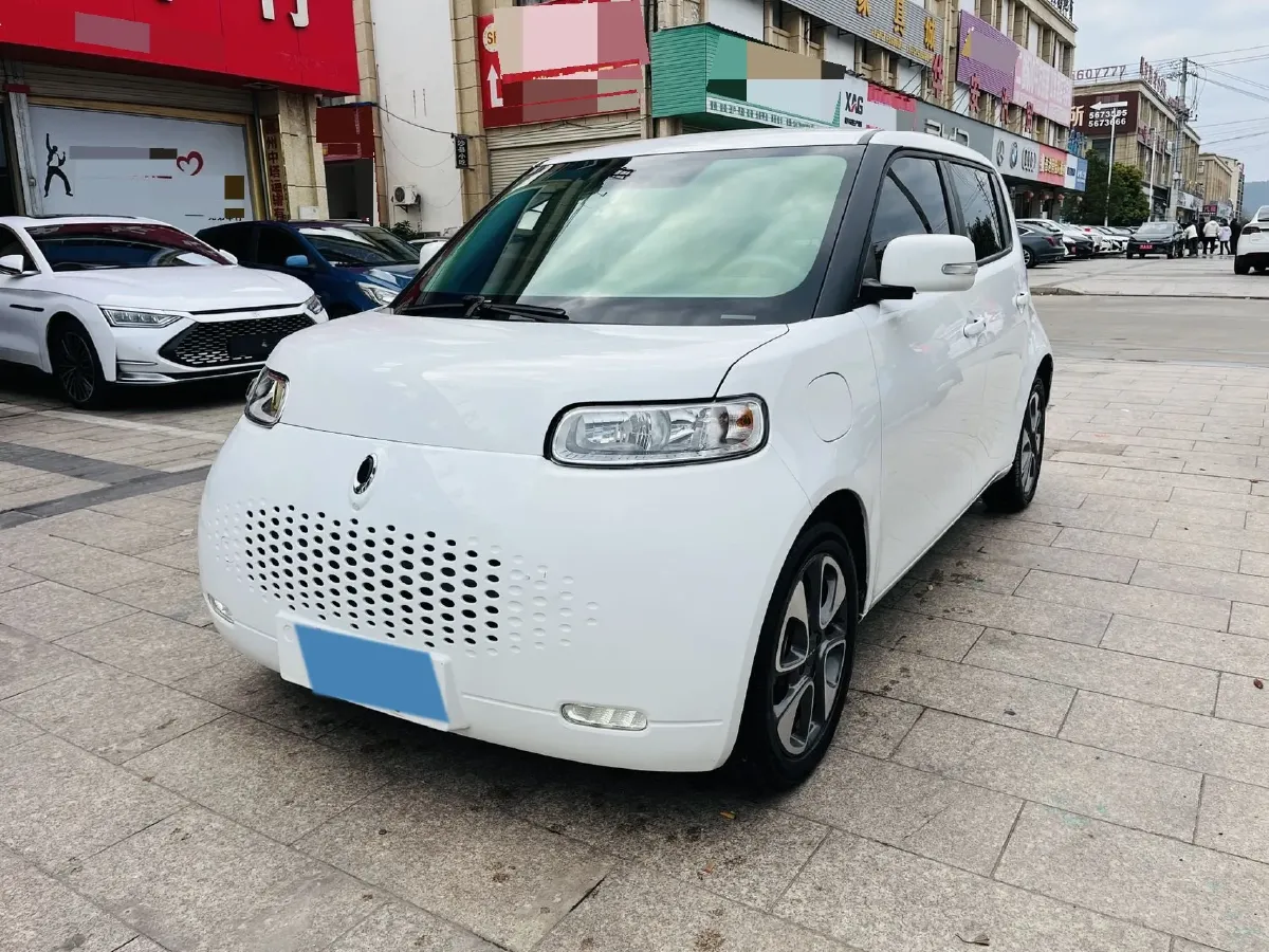 2020 Ora WhiteCat BEV 29.4KWH,autocango,china used car exporter,china ev exporter,chinese used car exporter,chinese used ev exporter