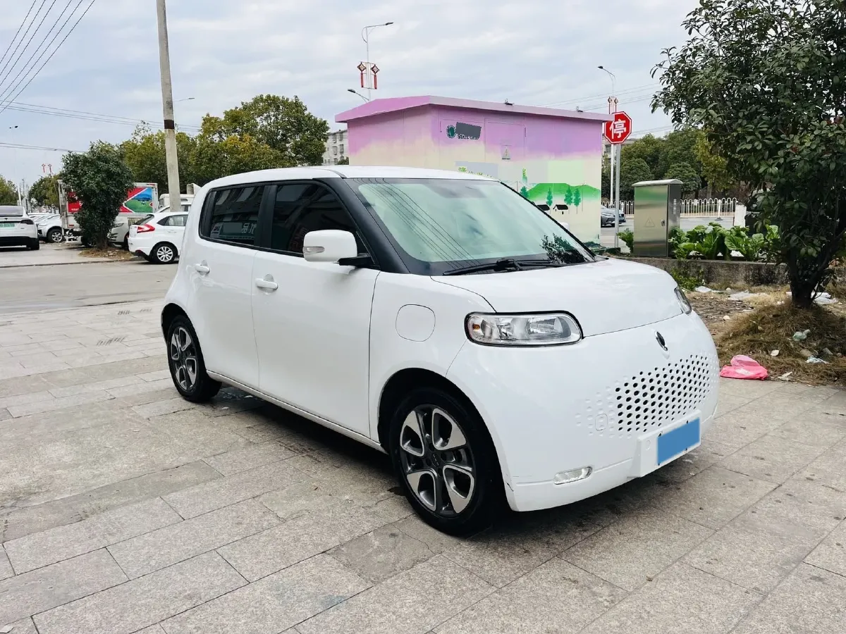 2020 Ora WhiteCat BEV 29.4KWH,autocango,china used car exporter,china ev exporter,chinese used car exporter,chinese used ev exporter
