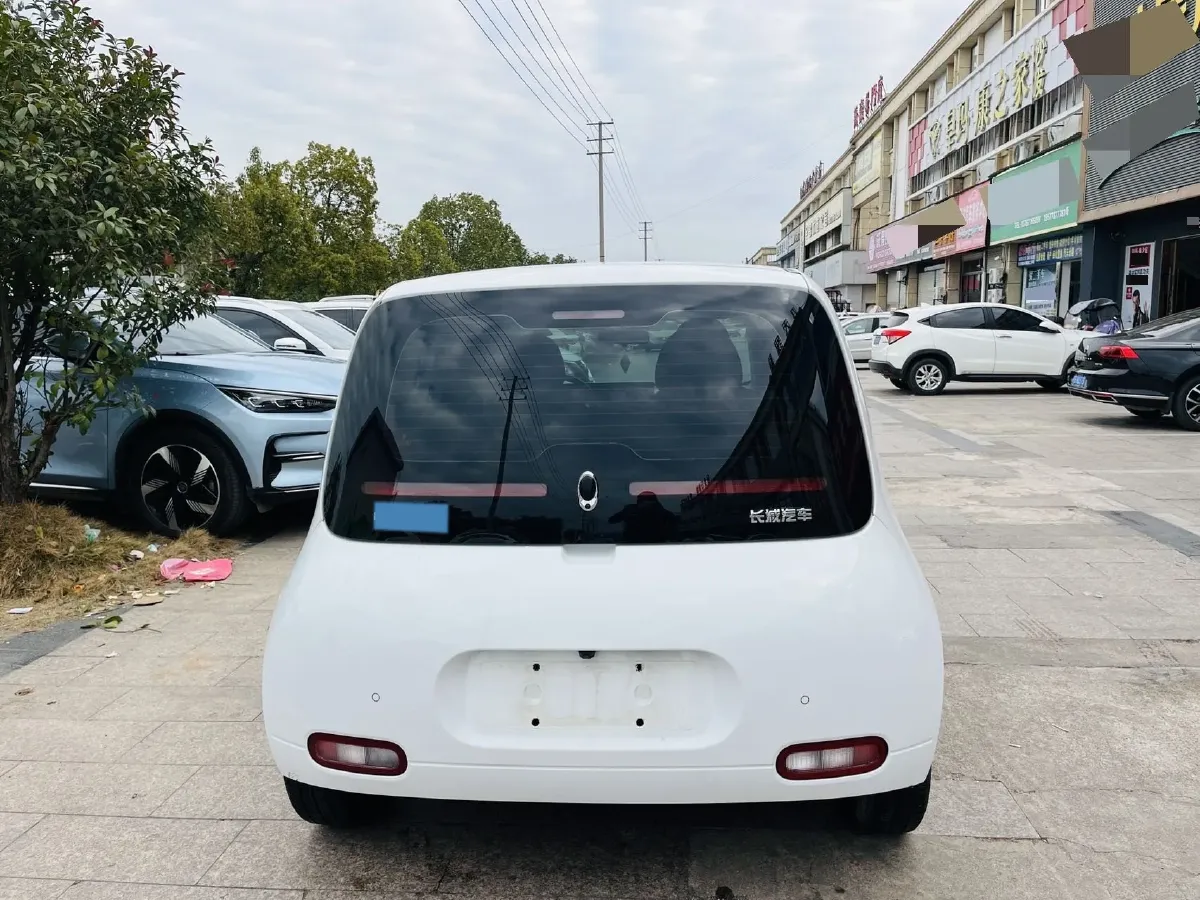2020 Ora WhiteCat BEV 29.4KWH,autocango,china used car exporter,china ev exporter,chinese used car exporter,chinese used ev exporter