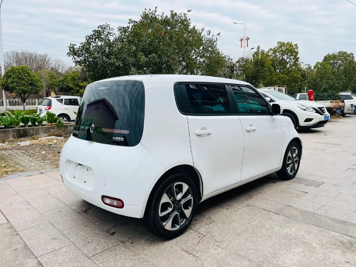2020 Ora WhiteCat BEV 29.4KWH,autocango,china used car exporter,china ev exporter,chinese used car exporter,chinese used ev exporter